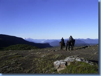 2 riders overlooking the valley on the volcano trail ride in NP Villarrica, Chile